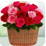 WhatsApp Image 2025-07-24 at 8.55.18 PM (2)