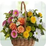 WhatsApp Image 2025-07-24 at 8.55.18 PM (6)