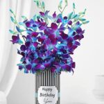 WhatsApp Image 2025-08-11 at 10.39.01 AM